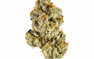 Lemon Cherry Gelato THCA Flower