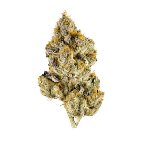 Lemon Cherry Gelato THCA Flower