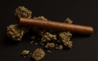 El Castro - SLC Cannagar