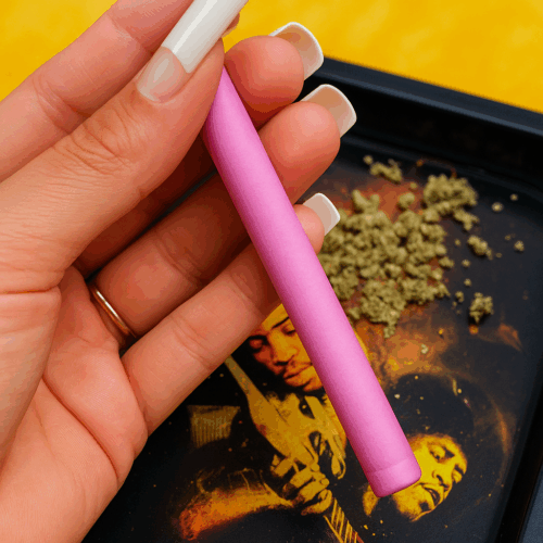 La Rosa - SLC Cannagar